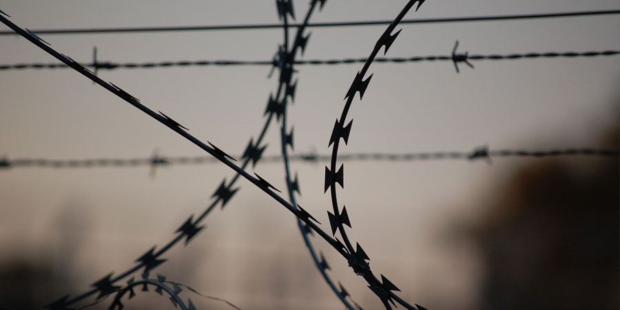 A closeup photo of barbed wire.