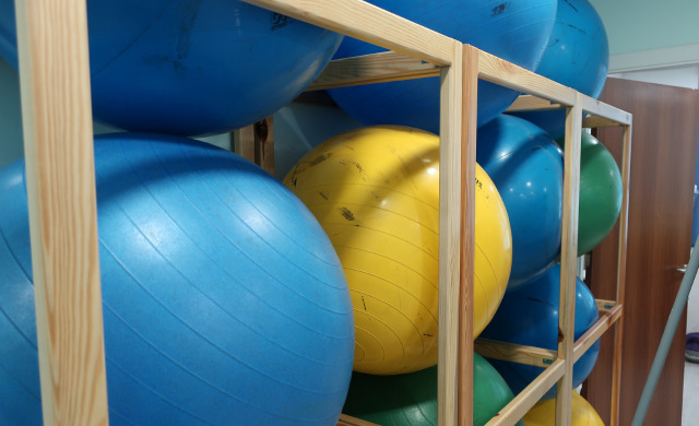 Physical Therapy Balancing Balls